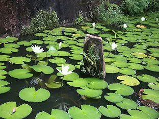 *** Resort Mowbrey House Hotel Kandy Sri Lanca